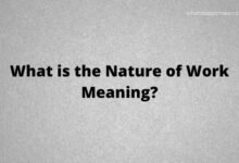 What is the Nature of Work Meaning